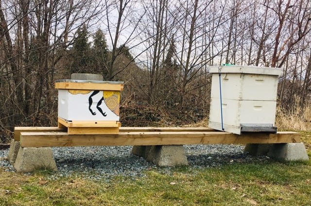 bees2