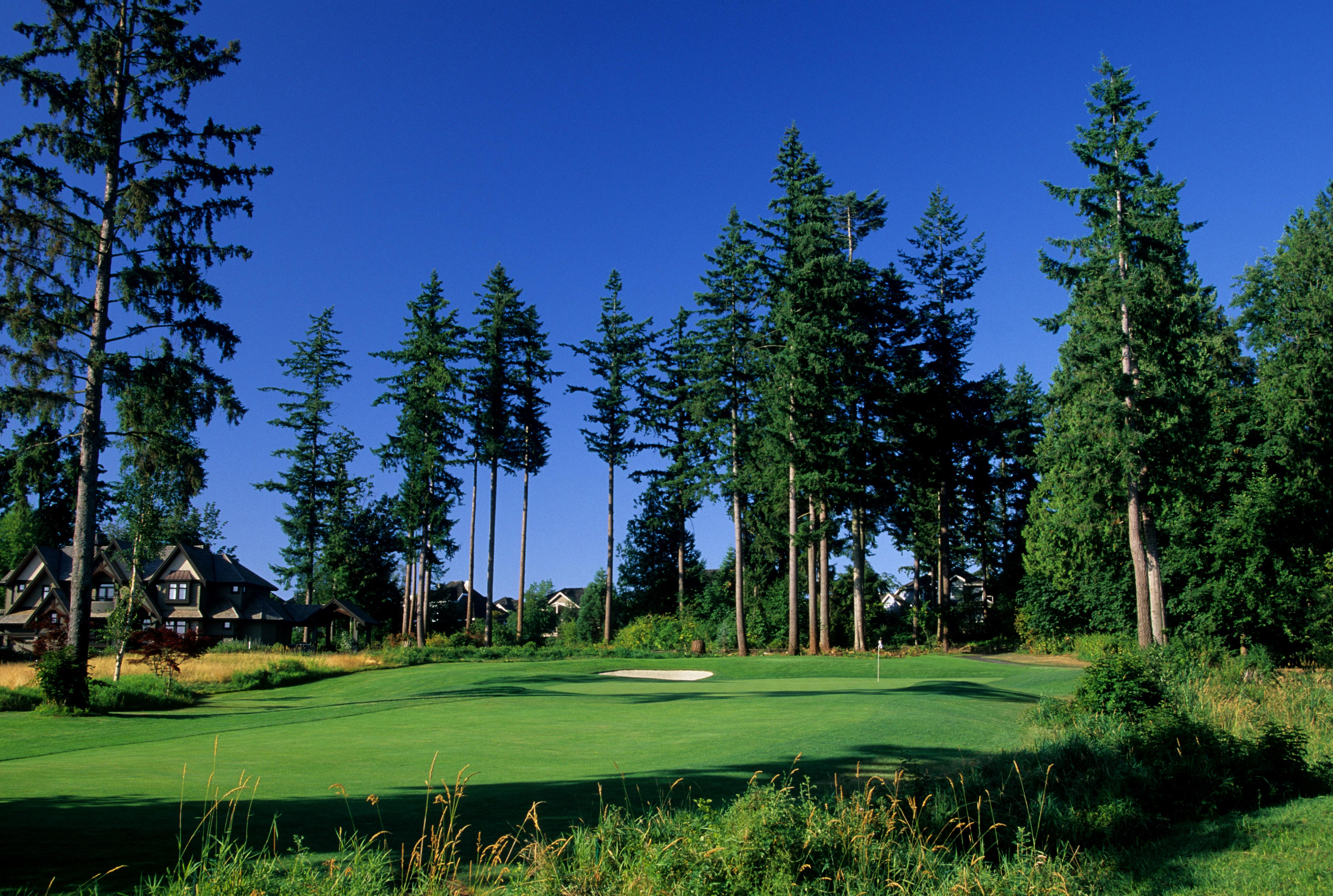 Hole 15